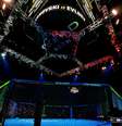 ( Foto: Divulgação/UFC / Esporte News Mundo