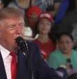Donald Trump não gostou do resultado da eleição brasileira.  Foto: Reprodução/Redes sociais