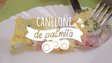 Canelone de palmito