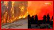 Incêndios florestais de grandes proporções deixam ao menos 123 mortos no Chile