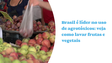 Brasil é líder no uso de agrotóxicos: veja como lavar frutas e vegetais