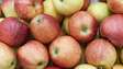 Frutas para baixar a glicose: confira 4 opções