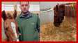 Vídeo mostra recuperação do cavalo caramelo, resgatado de telhado no RS