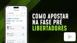 Como apostar nos jogos da Pré-Libertadores 2025?