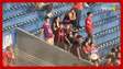 Torcedores do Cerro Porteño voltam a imitar macacos em direção à torcida do Palmeiras