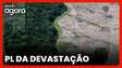 Adriana Ramos explica os riscos do PL que ameaça o licenciamento ambiental