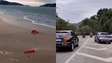 Ventos fortes causam estragos no Litoral Norte de São Paulo