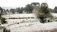 Onda de frio provoca neve na Serra Gaúcha e em Santa Catarina