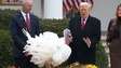Trump concede perdão presidencial a peru antes do Dia de Ação de Graças