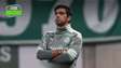 Palmeiras vai reformular? Abel precisa de reforços para 2026