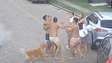 Vídeo mostra briga generalizada envolvendo jogadores do Fortaleza em condomínio de luxo