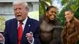Trump publica vídeo com teoria da conspiração que retrata Obamas como macacos