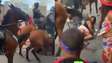 Vídeo mostra cavalo da PM perdendo controle e ‘atropelando’ foliões no carnaval do Recife