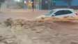 Chuva forte atinge Bauru (SP), arrasta carros, destrói estabelecimentos e causa inundações