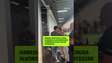 Gabriel Bortoleto causa alvoroço ao prestigiar corrida da Stock Car em Interlagos