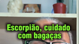 Previsão Semanal (27-03/05) de Escorpião por João Bidu
