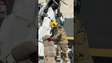 Bombeiros mostram destruição de prédio atingido por avião em Belo Horizonte (MG) #shorts