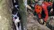 Cachorrinha é resgatada após ficar 3 dias presa entre rochas no Espírito Santo
