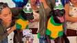 Cachorro acolhido por cantora na Paraíba ganha festa de mesversário de adoção