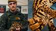 Polícia recebe chamado para resgatar gato em SP, mas é surpreendida ao encontrar jaguatirica
