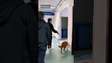 Jovem com tumor cerebral recebe visita do cachorro no hospital e emociona web #shorts