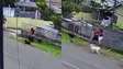 Menino é atacado por nove cães no Paraná