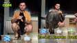 Gato ‘vidente’ prevê vitória do Brasil contra Escócia e tenta terceiro acerto seguido