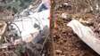 Queda de avião mata piloto e pesquisadora alemã em Campo Grande (MS)