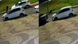 Motorista atropela homem cego e cão-guia no DF e foge sem prestar socorro