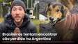 Brasileiro faz buscas por cão que desapareceu em viagem na Argentina #shorts
