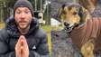 Brasileiro faz buscas por cão que desapareceu em viagem na Argentina: 'A gente não consegue voltar sem ele'