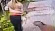 Capivara sai de moita e avança em cachorro durante passeio no interior de SP