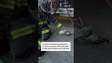 Bombeiros usam máscara de oxigênio em pombo que passou mal após inalar fumaça nos EUA #shorts