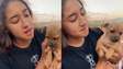hn_16x9_9x16_cachorrinho_6a68c2de6a8701429b4c458c