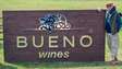 Galvão saiu das narrações, mas será que os vinhos dele jogam bem? Fizemos um 'VAR' da Bueno Wines