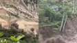 Vídeo mostra momento em que grande deslizamento de terra atinge vilarejo no Nepal