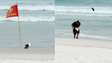 Veja resgate de gaivota com asa ferida em praia do litoral do Rio de Janeiro
