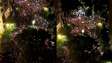 Ato em Belo Horizonte reúne manifestantes em apoio à candidatura de Lula