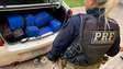 Homem é preso com 201 kg de maconha na BR 277 em Cascavel
