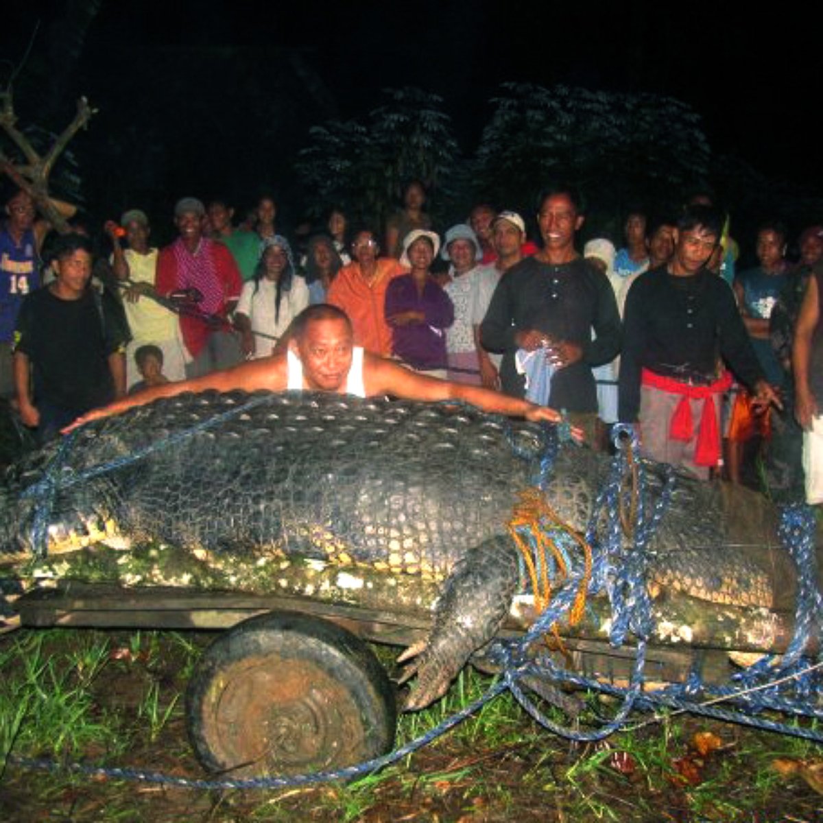 Maior crocodilo em cativeiro do mundo morre nas Filipinas