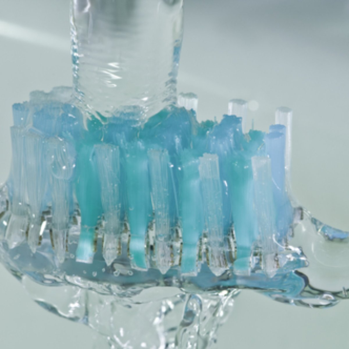 Livre Sua Escova De Dentes De Fungos E Bacterias