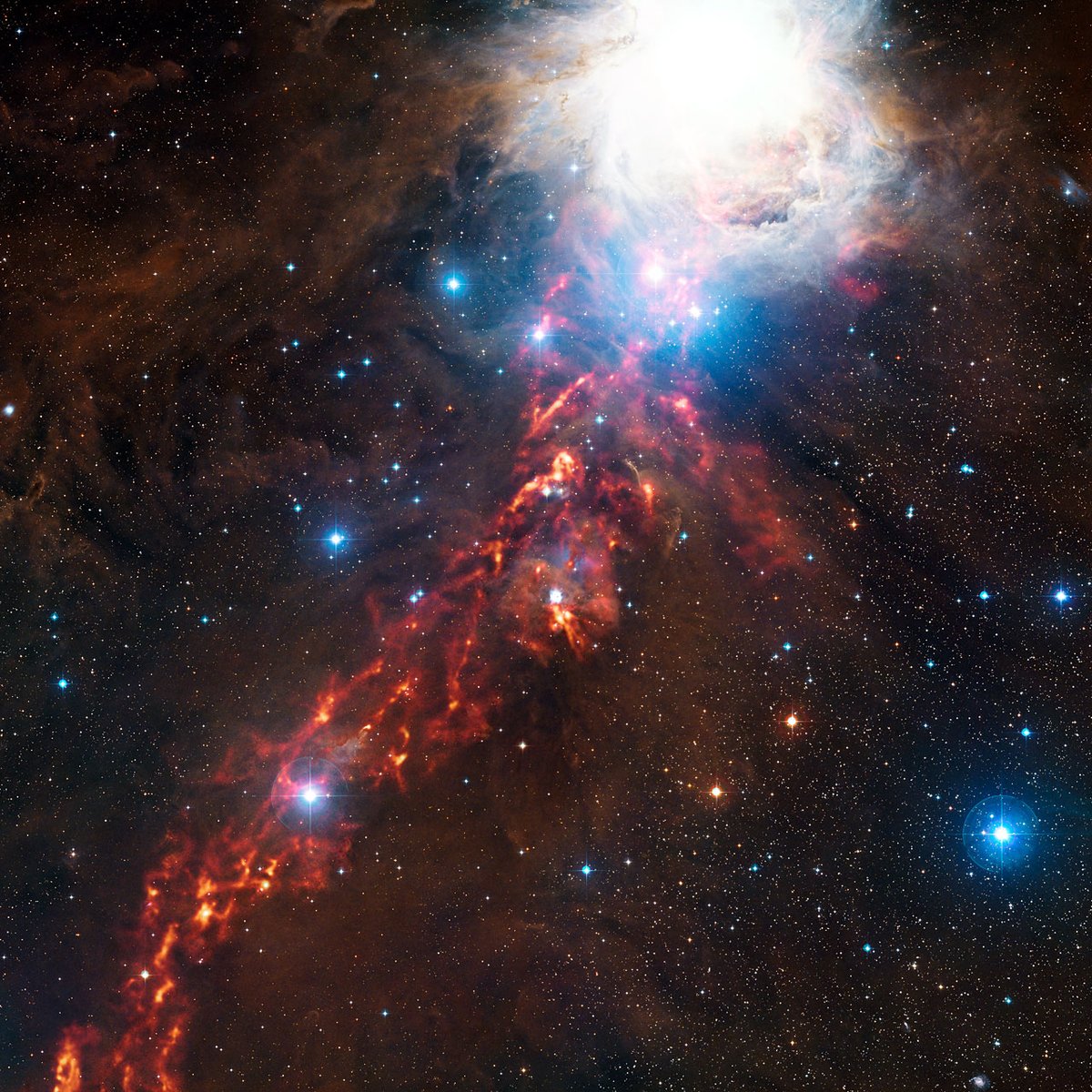 Telescopio Registra Brilho De Novas Estrelas Na Constelacao De Orion