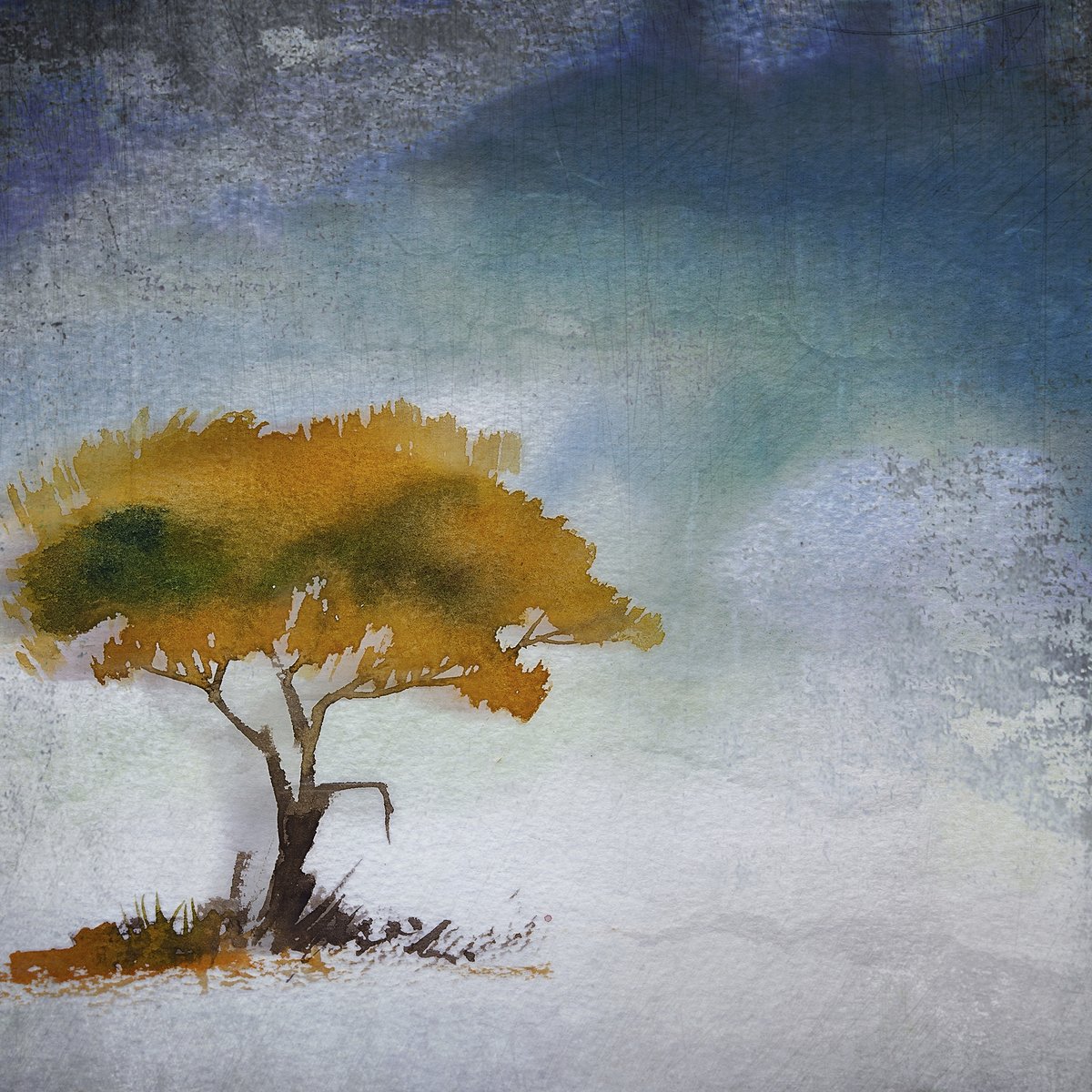 Feng Shui Quadros E Imagens Podem Atrair Energias Negativas