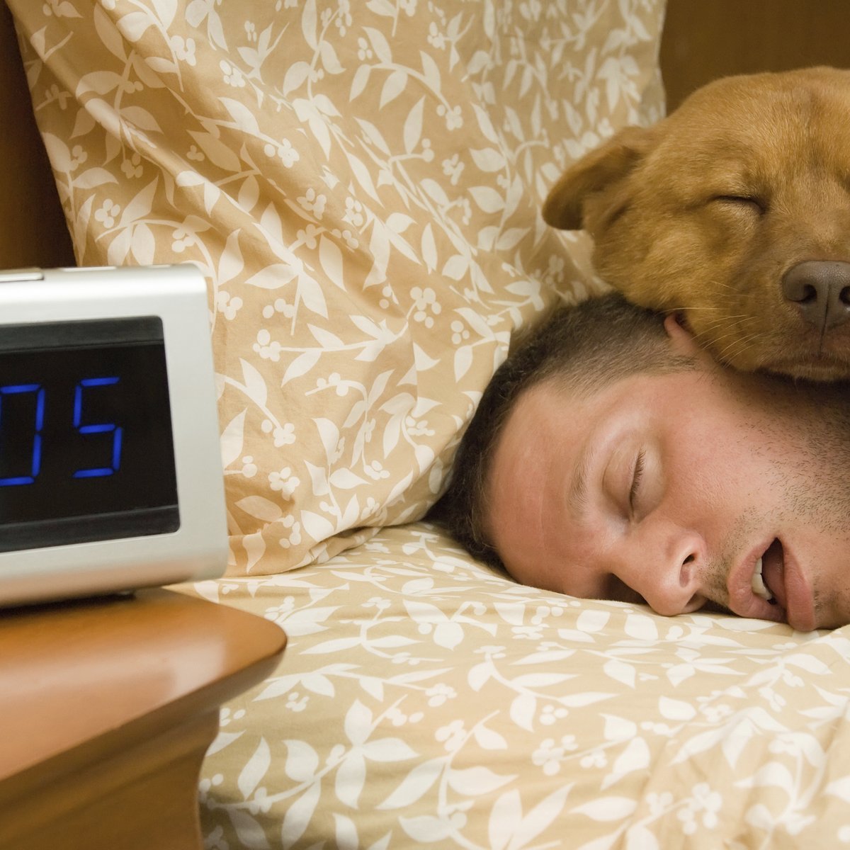 Babeo Nocturno Cuales Son Las Causas Y Consecuencias
