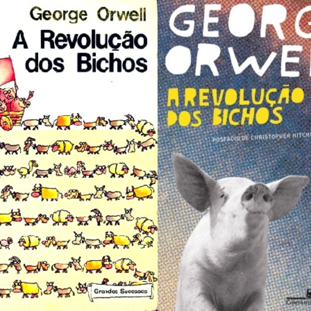 A Revolucao Dos Bichos Faz 70 Anos E Provoca Reflexao Atual