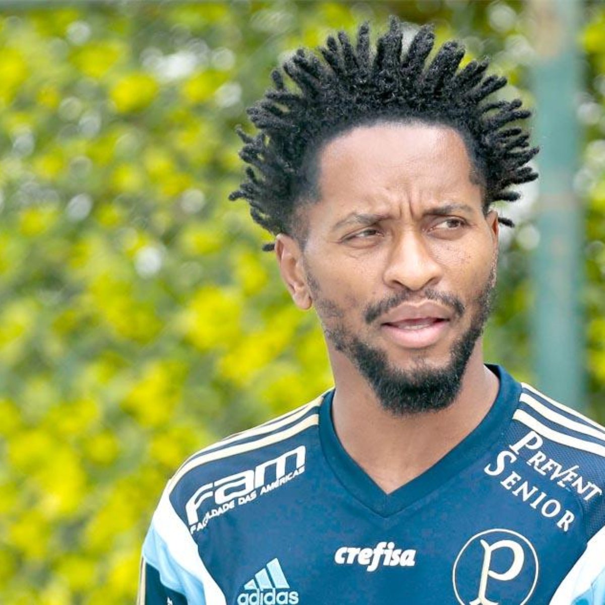 Ze Roberto Negocia Renovacao Por Mais Um Ano Com O Palmeiras