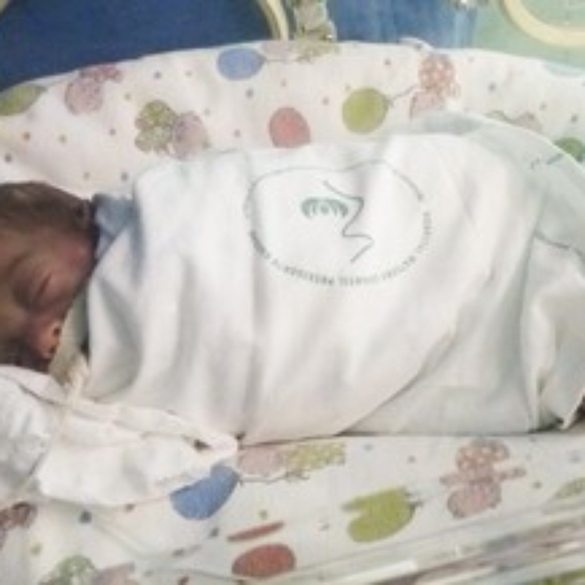 Bebe Que Nasceu Com Apenas 380 G Tera Alta Em Porto Alegre
