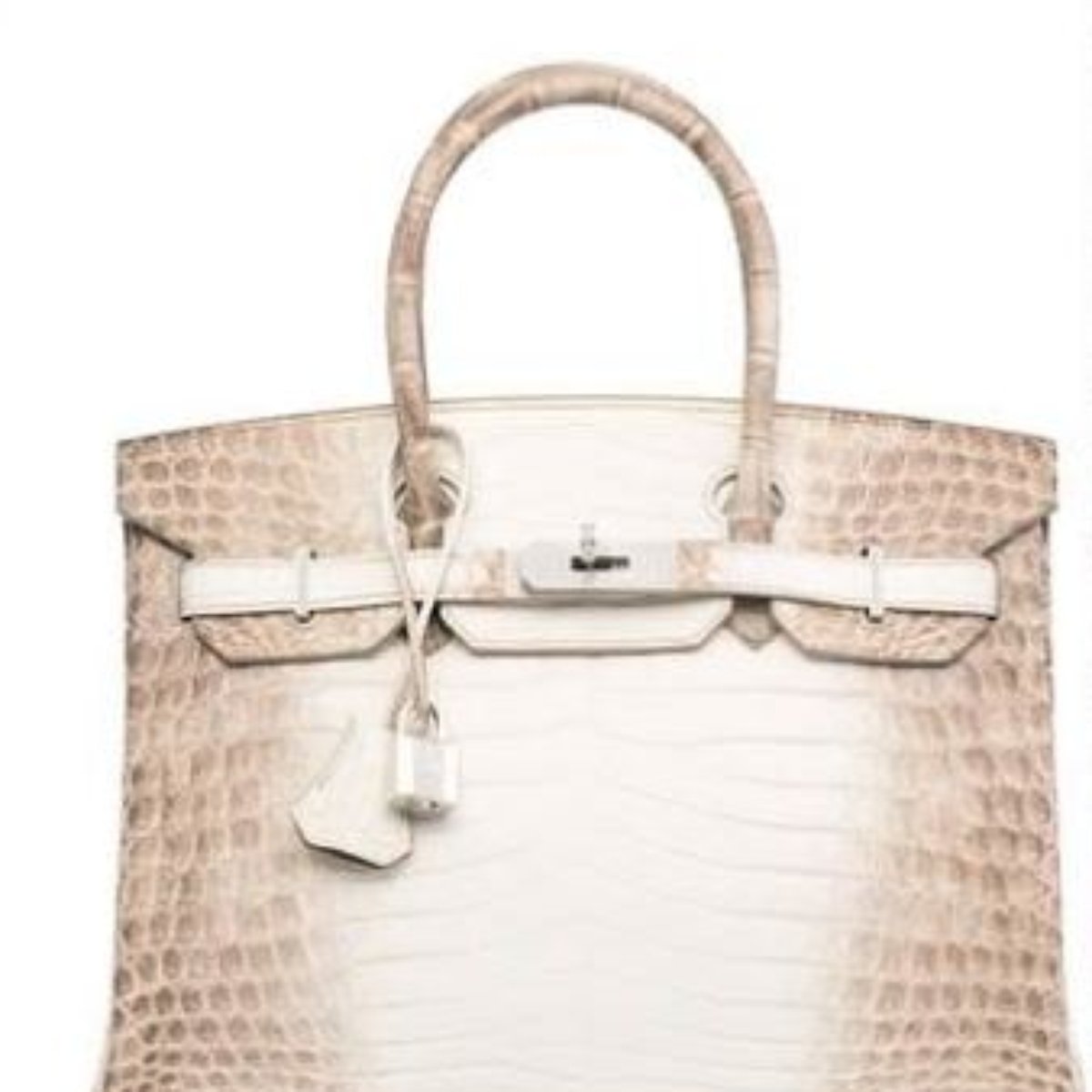 birkin mais cara do mundo