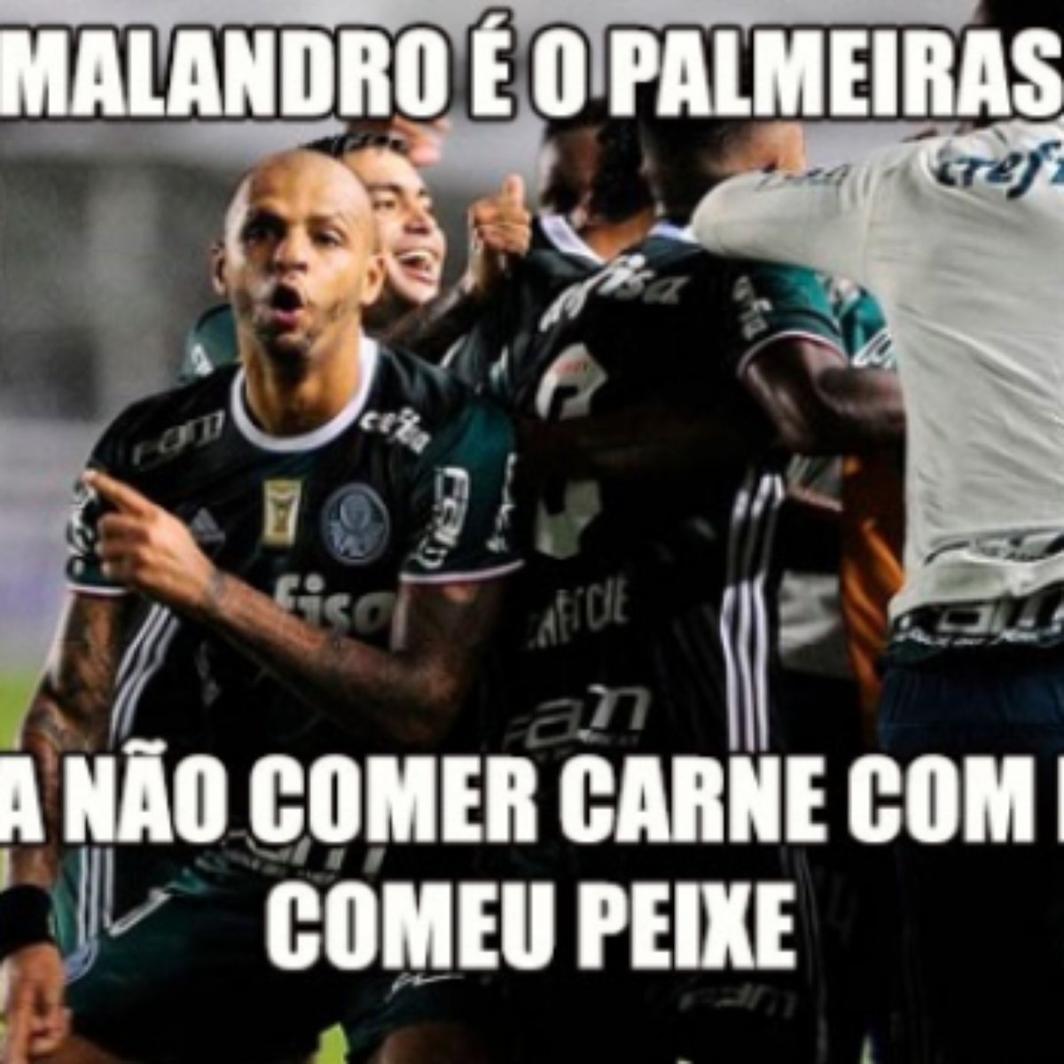 Os Memes Da Vitoria Do Palmeiras No Classico Contra O Santos