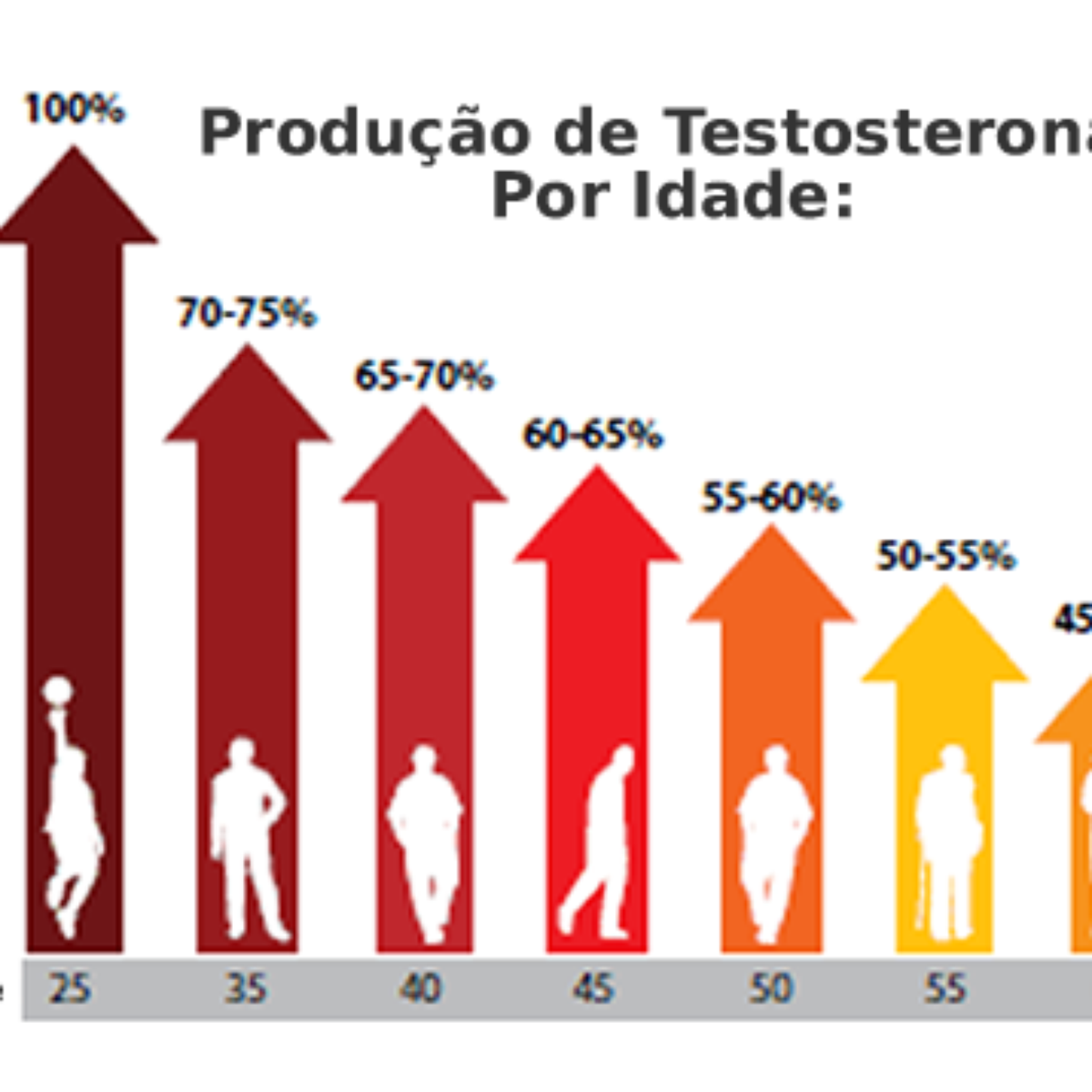 hormonios estao em alta testosterona a flor da pele